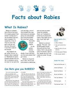Facts about Rabies