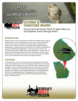 gEorgIa`S WatEr 2013`s - Georgia Water Coalition