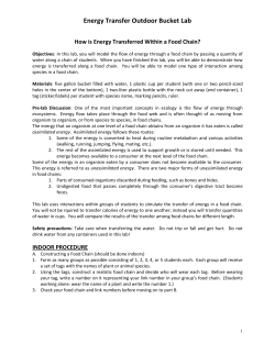 Energy Transfer Outdoor Bucket Lab