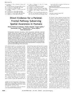 Direct Evidence for a Parietal- Frontal Pathway Subserving Spatial