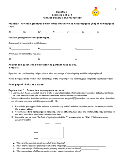 1 Genetics Learning Set 2.4 Punnett Squares and