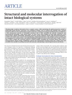 Structural and molecular interrogation of intact biological systems