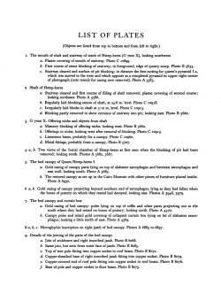LIST OF PLATES