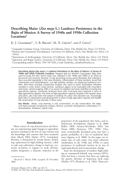 Describing Maize (Zea mays L.) Landrace Persistence in the Baj&iacute;o of