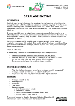 CATALASE ENZYME