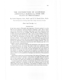 the distribution of lugworms (arenicola marina