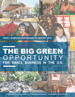 The Big Green Opportunity for Small Business