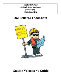 Owl Pellets