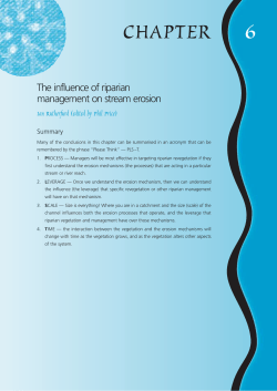 The influence of riparian management on stream erosion