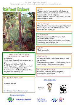 Rainforest Topic Web