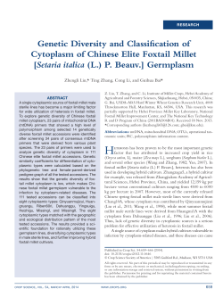 Genetic Diversity and Classification of Cytoplasm of