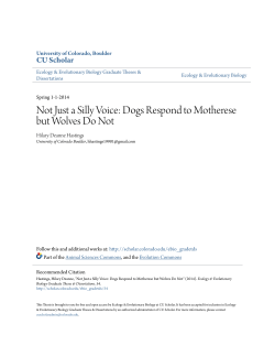Not Just a Silly Voice: Dogs Respond to Motherese but Wolves Do Not
