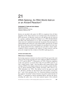 tRNA Splicing: An RNA World Add