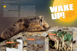 a close-up view of the photos.