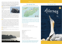 WALK 2 WALK 2 The Gannet Trail The Gannet Trail