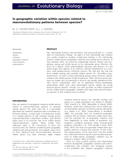 Is geographic variation within species related to macroevolutionary