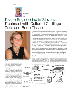 Tissue Engineering in Slovenia Treatment with