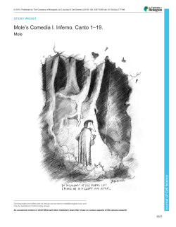 Mole`s Comedia I. Inferno. Canto 1&ndash;19.