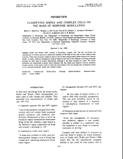 minireview classifying simple and complex cells on the basis of