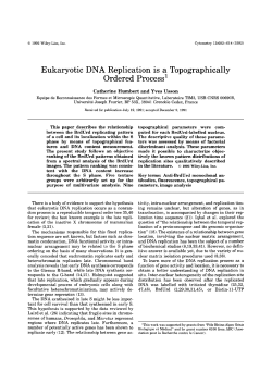 Eukaryotic DNA Replication is a Topographically Ordered Process`