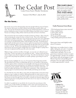 Newsletter 7 Guelph/Paisley