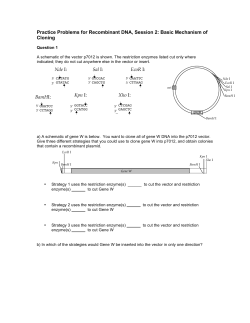 Basic Mechanism of Cloning