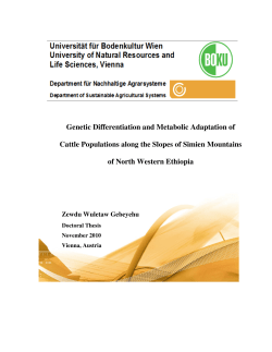 Genetic Differentiation and Metabolic Adaptation of Cattle
