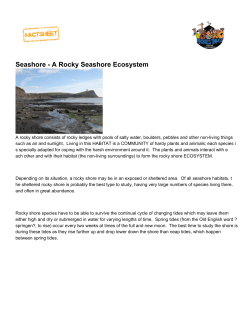Seashore - A Rocky Seashore Ecosystem