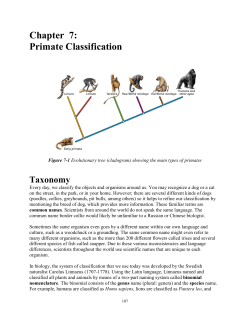 Chapter 7: Primate Classification