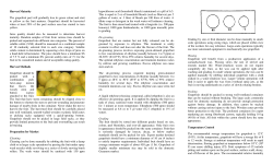 grapefruit - Guyana Marketing Corporation