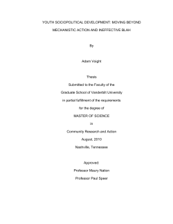 YOUTH SOCIOPOLITICAL DEVELOPMENT