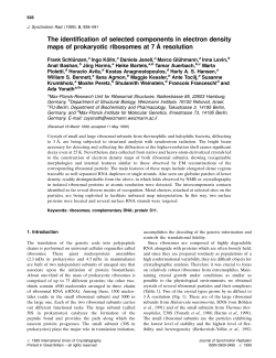 The identification of selected components in electron density maps