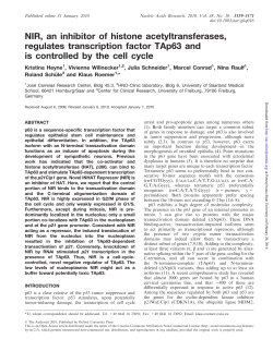 NIR, an inhibitor of histone acetyltransferases, regulates