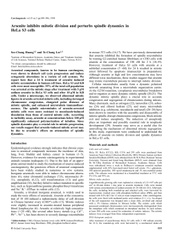 Arsenite inhibits mitotic division and perturbs
