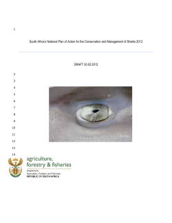 Draft National Plan of Action for Sharks