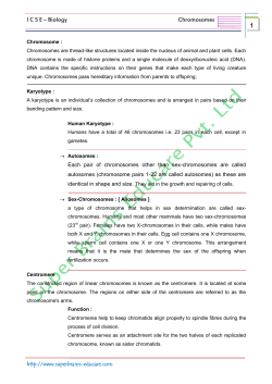 Chromosomes - Super Brains Educare