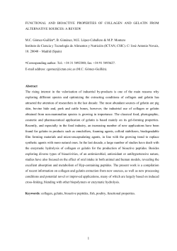 functional and bioactive properties