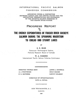 IPSFC Progress Report 6 - Pacific Salmon Commission