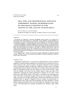 cell size and proportional distance assessment during determination