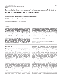 DAZ homologue in C. elegans - Development