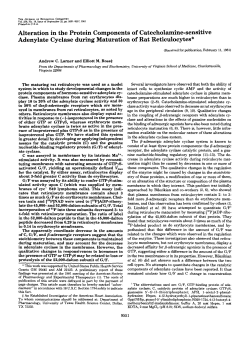 Alteration in the Protein Components of