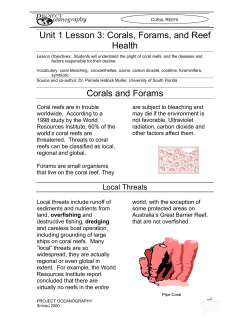 Coral, Forams, and Reef Health