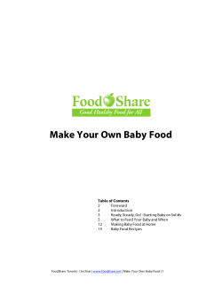 Make Your Own Baby Food