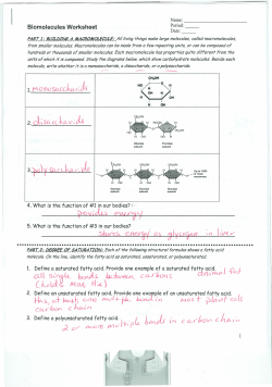 H - Amy E. Hammerstedt
