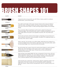BRUSH SHAPES 101