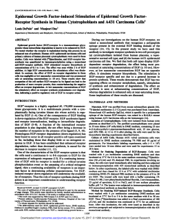 Epidermal Growth Factor-induced Stimulation of
