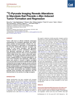 13C-Pyruvate Imaging Reveals Alterations in Glycolysis