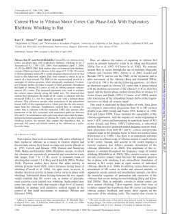 Current Flow in Vibrissa Motor Cortex Can Phase