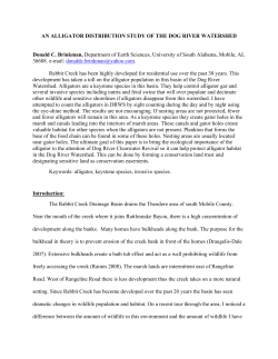 AN ALLIGATOR DISTRIBUTION STUDY OF THE DOG RIVER