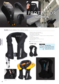 protector - RS Taichi